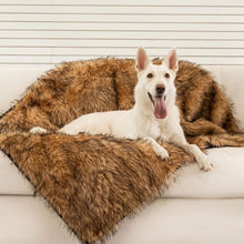 A white Shepperd sticking his tongue out on a white couch laying on a sable tan waterproof dog blanket