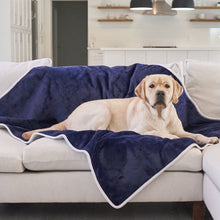 A labrador retriever on a white couch in a living room laying on a waterproof blue velvet dog blanket 