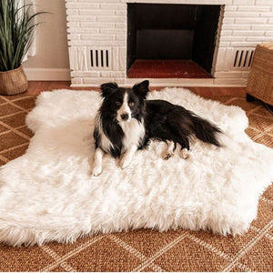 A border collie laying on a curved white fur dog bed on a brown square tiled carpet next to a white fireplace and a small plant
