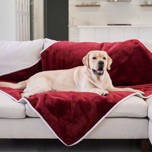 A labrador retriever on a white couch laying on a red velvet waterproof dog blanket with a background of a kitchen