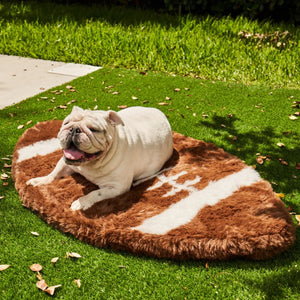 A white english bulldog laying on a football shaped dog bed on the grass on an outdoor setting 