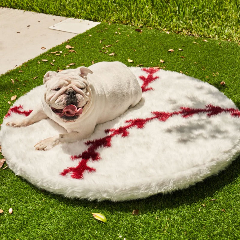 A white English bulldog sticking his tongue out on the green grass laying on a baseball shaped furry dog bed 