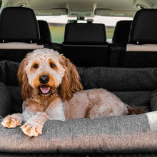 A golden doodle laying on a grey car dog bed at the back of a car