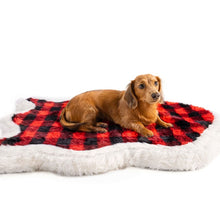 A brown dacshund laying on a dog bed with red and black checkered pattern facing right