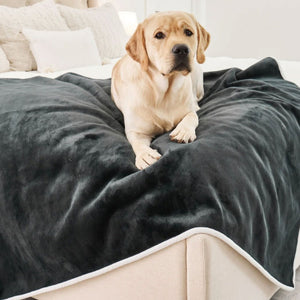 A labrador retriever on the edge of a white bed laying on top of a waterproof green velvet dog blanket
