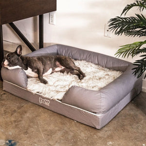 A French Bulldog laying on furry white mat with brown acccent on a recatgular gray dog bed next to a brown table and a plant on a modern setting