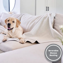 A labrador retriever on a white couch inside a modern bedroom laying on the reversed side of a waterproof velvet blanket 