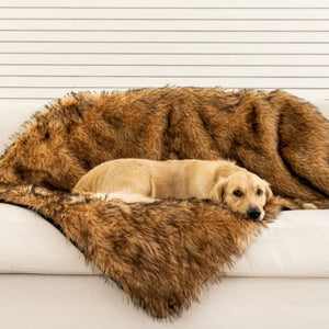 A golden retriever on white couch laying on a sable tan waterproof dog bed 