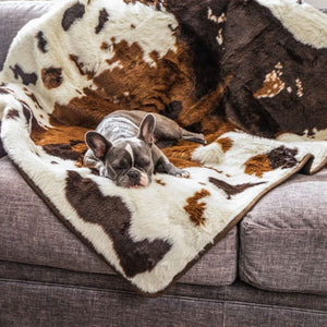 A french bulldog on a grey couch sleeping on a brown cowhide patterned waterproof dog blanket 