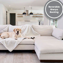 A labrador retriever on a modern living room setting laying on white couch and a white waterproof dog blanket and a small kitchen on the background 