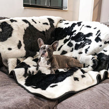 A french bulldog on a grey couch laying on a waterproof black cowhide patterned dog blanket
