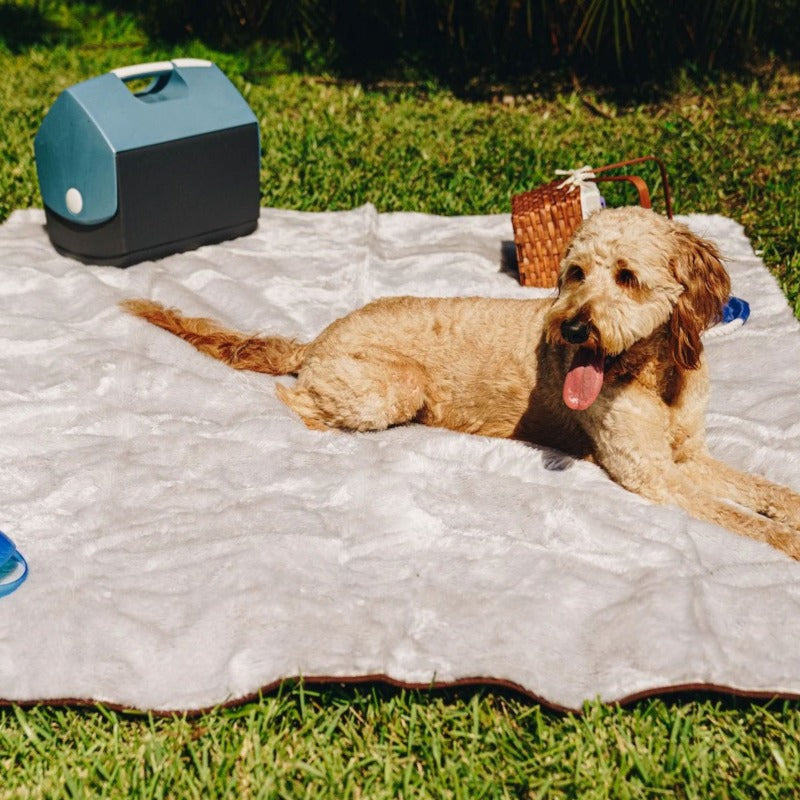 A golden doodle sticking his tongue out outdoor laying on a waterproof light grey dog blanket with next to a blue cooler and a tiny picnic basket 