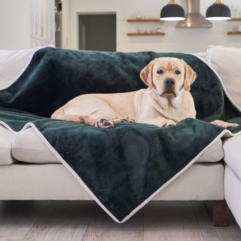 A labrador retriever on a white couch laying on a green velvet waterproof dog bed and some lamps on the background 