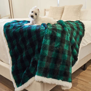 A white terrier on the edge of a white bed laying on waterproof black and green checkered pattern dog blanket