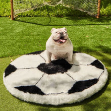 A close up view of a white english bulldog sitting on a soccer ball shaped orthopedic dog bed outdoor on grass in front of a goal post