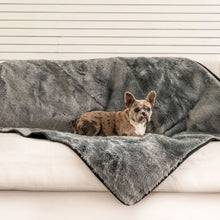 A french bulldog on a white couch laying on a waterproof grey dog blanket
