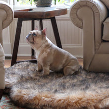 A french bulldog sitting on a furry sable tan colored dog bed in between of a grey couch and a wooden stand with a plant and a book next to it 