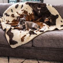 A french bulldog on a grey couch laying on a brown cowhide patterned waterproof dog blanket next to a window