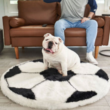 A white english bulldog sitting on a soccer ball shaped sog bed in front of a man sitting on a brown couch 