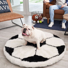 A white english bulldog on a living room sitting on a soccer ball shaped dog bed next to a man sitting on a brown couch, a wooden table and a bin full of toys