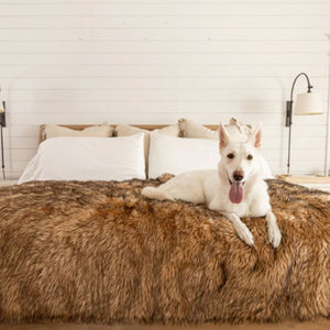A white Shepperd on top of the bed laying on a sable tan waterproof dog bed and a lamp next to it 