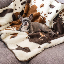 A french bulldog on a grey couch laying on a brown cowhide patterned waterproof dog blanket