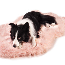 A curved blush pink furry dog bed with a border collie laying on it