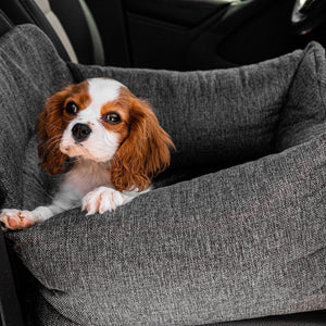 A cavalier king charles spaniel sticking his head out on a grey car dog bed 