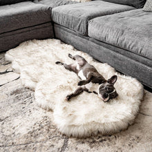 A french bulldog on the floor next to a grey couch laying on a furry white dog bed with brown accents 