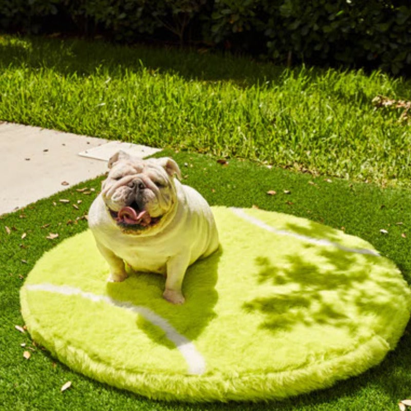 A white english bulldog outdoor sitting on a tennis ball shaped dog bed on the grass 