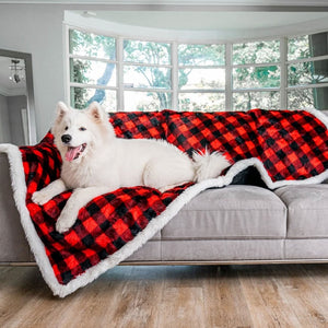 A white samoyed on a a grey couch in a living room laying on top of a red and black checkered pattern waterproof dog blanket right next to a window