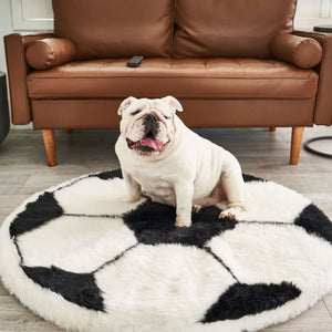 A white english bulldog sitting on a soccer ball shaped dog bed in front of a brown couch
