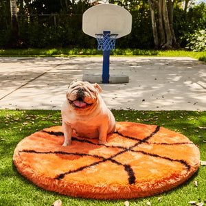 A basketball shaped dog bed on grass in front of a kiddie basketball ring with blue net with a white English bulldog sitting on it  