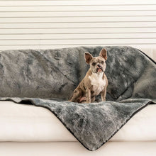 A french bulldog on a white couch sitting on a waterproof grey dog blanket