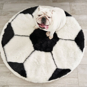 A top view of a white english bulldog sitting on a soccer ball shaped dog bed 