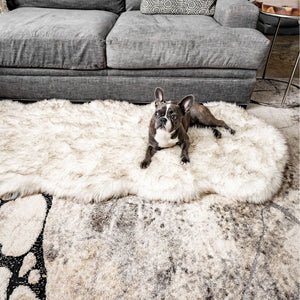 A french bulldog on the floor next to a grey couch and a chair laying on a furry white dog bed with brown accents 