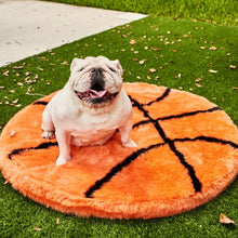 A basketball shaped dog bed on grass with a white English bulldog sitting on it  