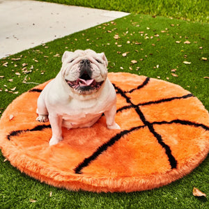 A basketball shaped dog bed on grass with a white English bulldog sitting on it  