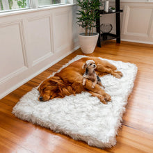 A Caramel Golden Retriever lying down and sleeping on a plush white rectangular dog Bed in a Modern styled House with a puppy