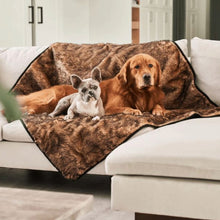 a french bulldog and a golden retriever sharing the brown dog blanket on the white couch in an all white modern living room