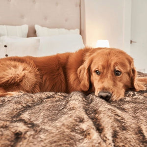 a golden retriever laying on a brown dog blanket on top of a white bed in an all white bedroom setting
