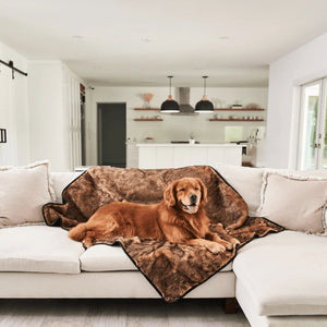 a golden retriever on a white modern living room with kitchen laying on a white couch with a sable tan colored dog blanket 