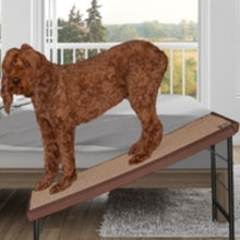 a brown furry dog next to a white bed and an open attic standing on a brown standing pet ramp