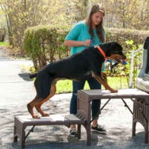 A lady assisting her rottweiler get on the car through a foldable stair outdoors 
