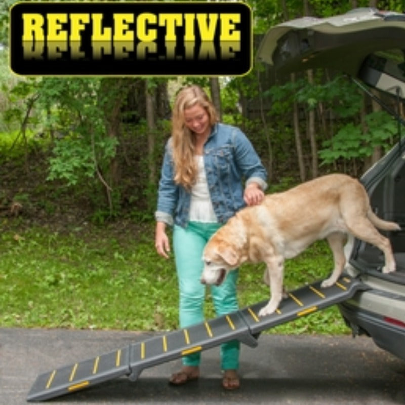 A lady in jeans jacket assisting her labrador retriever getting off the car through a tri fold reflective ramp