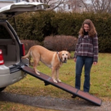 an image of a lady waiting for her dog to get off the car through the trifold dog ramp from a silver car