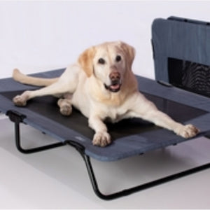 a close up image of a labrador retriever laying on a lake blue dog cot 