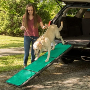 a lady assisting a labrador getting off the car through a green tri fold ramp out doors