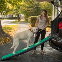 a lady guiding her dog get in the car through a tri fold ramp outside next to a tree