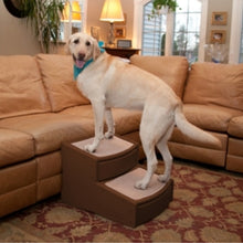 A labrador retriever wearing a blue bandana standing on a chocolate colored dog step next to a brown couch inside a modern living room